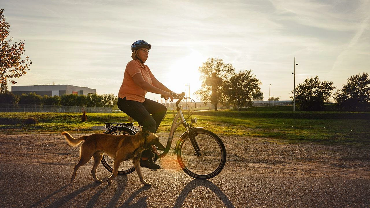 Deals Cykelkurve Store -Deals Cykelkurve Store 4